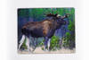 3D Lenticular magnet